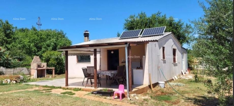 Марчана – Дом с оливковым садом 1