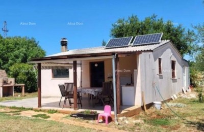 Марчана – Дом с оливковым садом