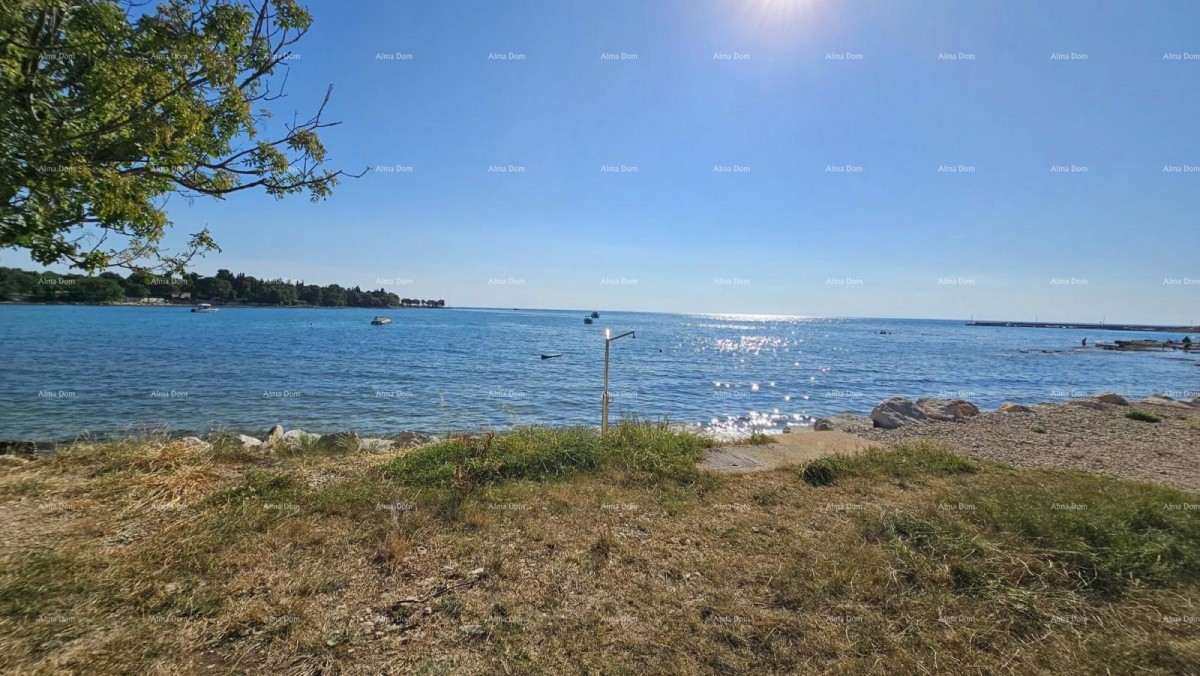 Istriana casa in pietra da ristrutturare 5