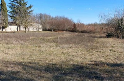 Prodaja građevinskega zemljišča blizu Žminja