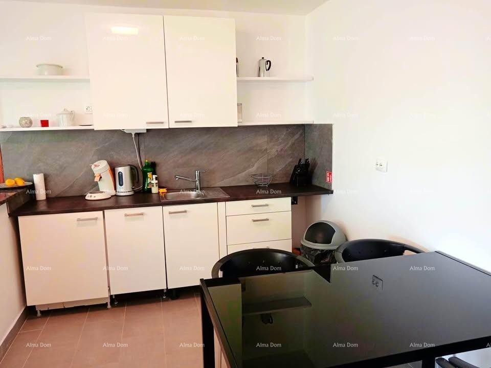 Apartment Ližnjan 4
