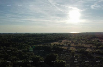 Vodnjan – građevinsko+ poljoprivredno zemljište 8000m2