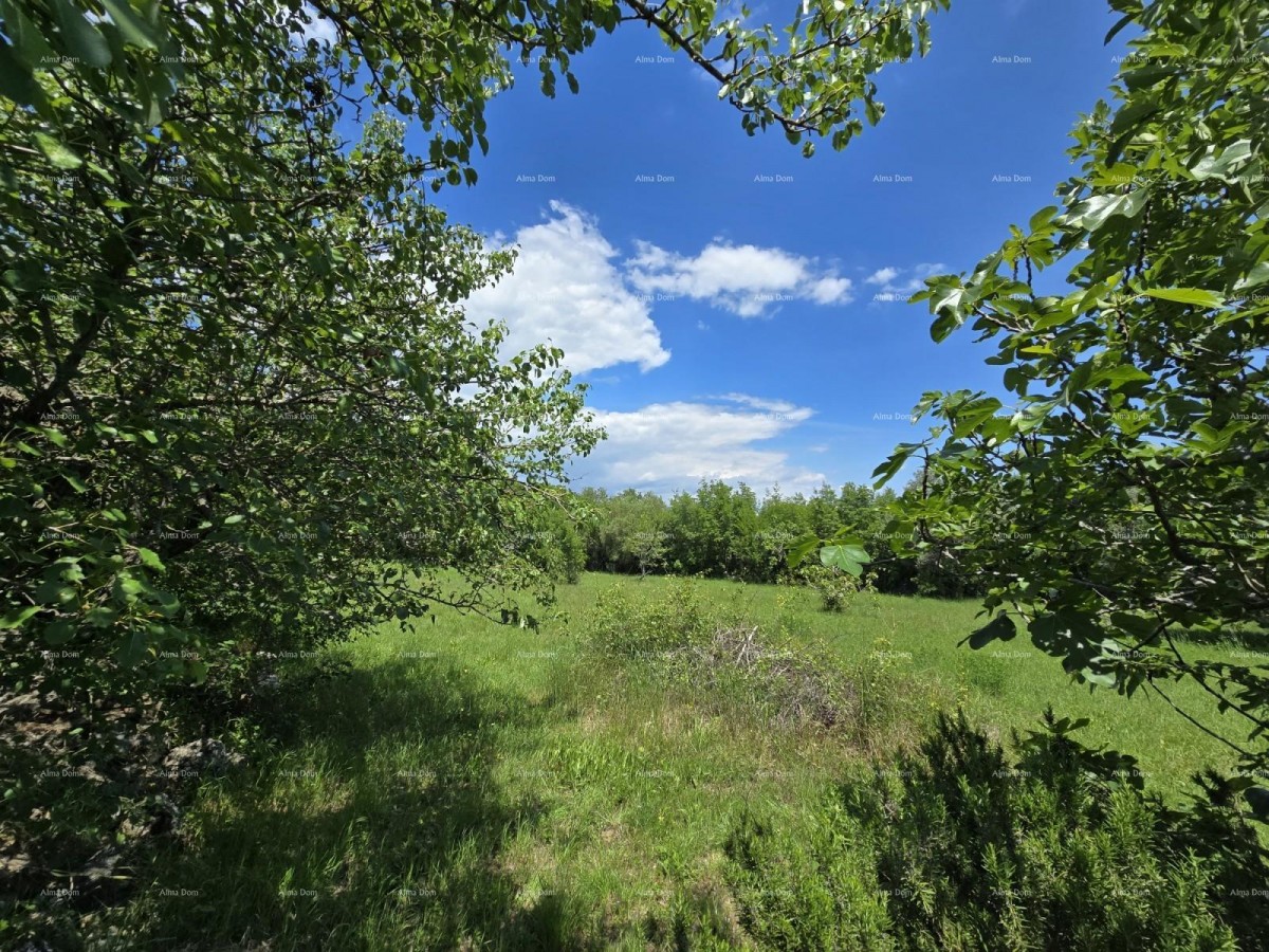 Ракаль, каменный дом с 1.920 м² строительной земли 15
