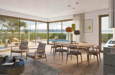 Appartamento con terrazza sul tetto - Residence Novi Home Novigrad