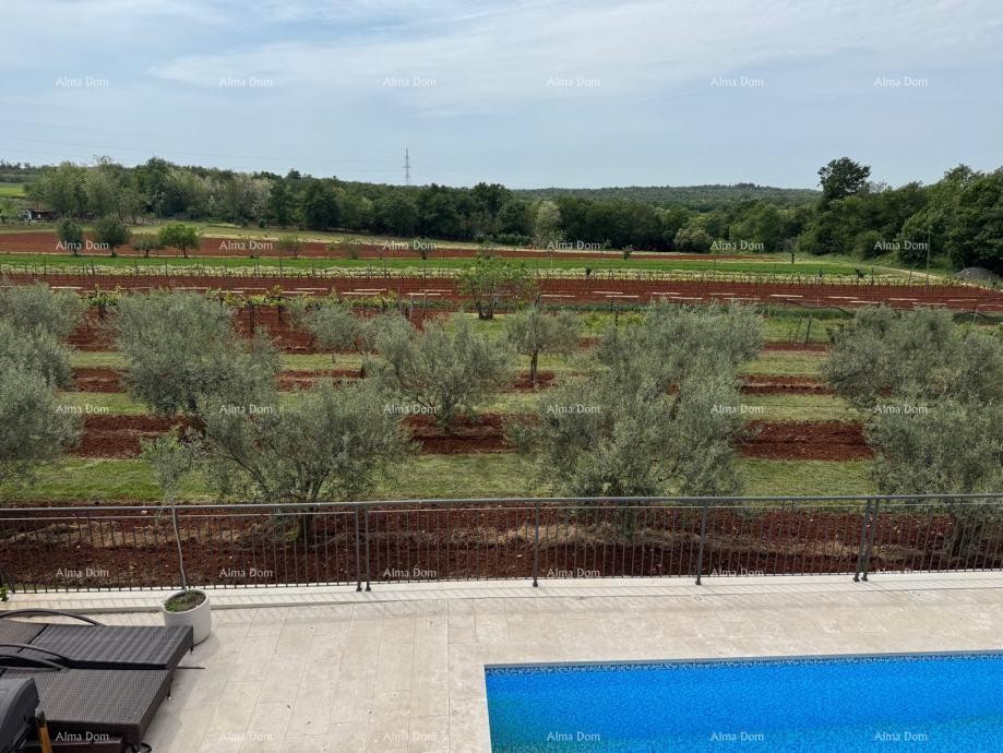 Appartamento Buje 15