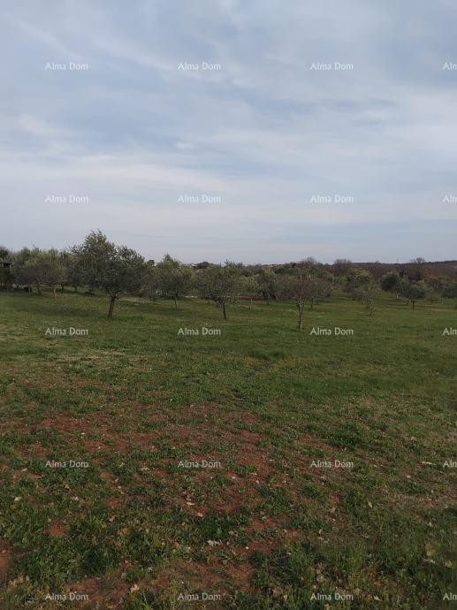 Atraktivno zemljište, 5.716 m²,okolica Poreča 3