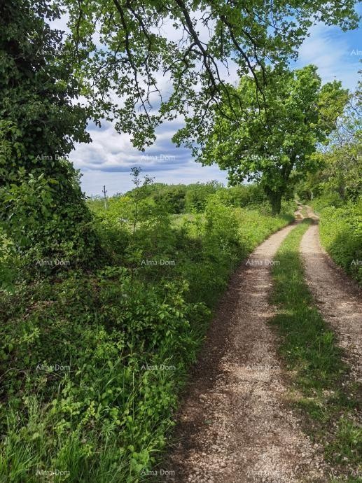 Odlično zazidljivo zemljišče za investicijo. 12