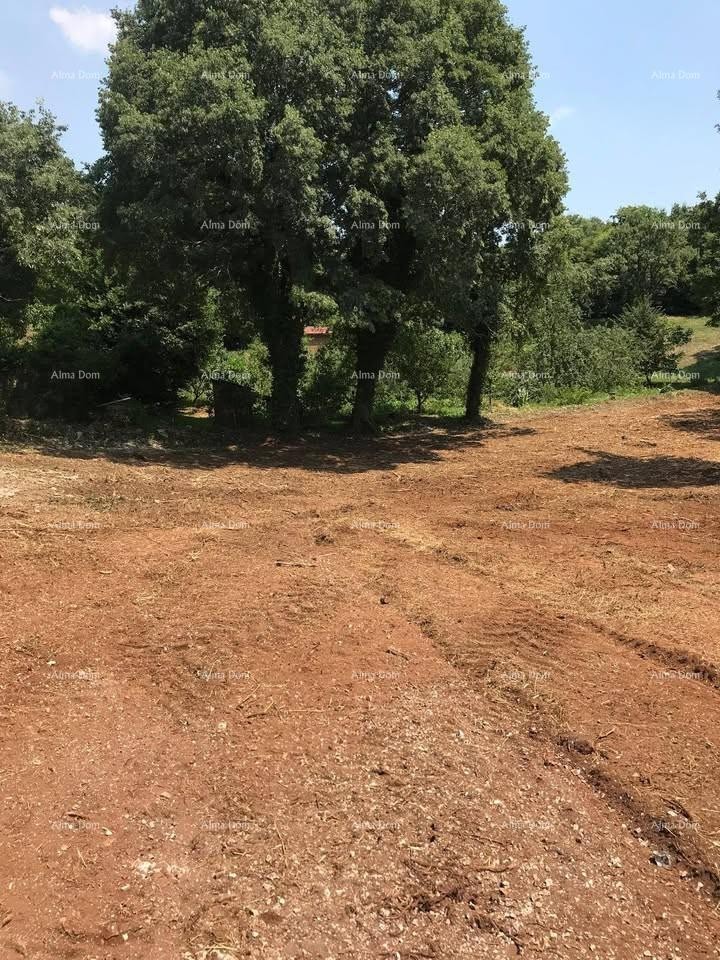 Terreno edificabile 1.137 m² – Filipana 5