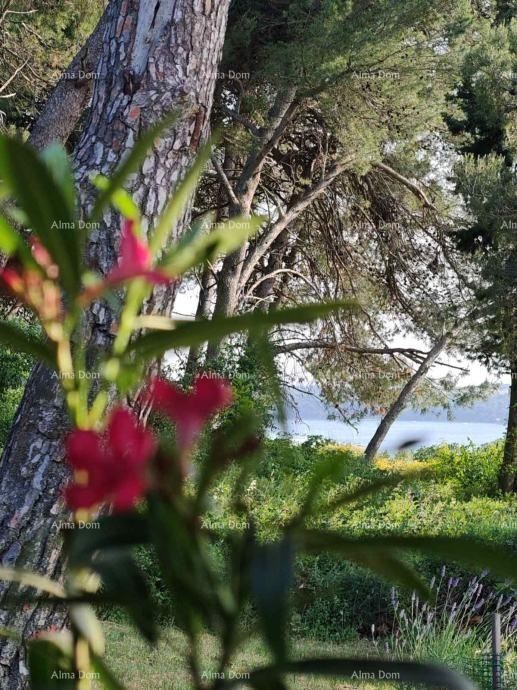 ДОМ С 3 АПАРТАМЕНТАМИ, МЕДУЛИН 4