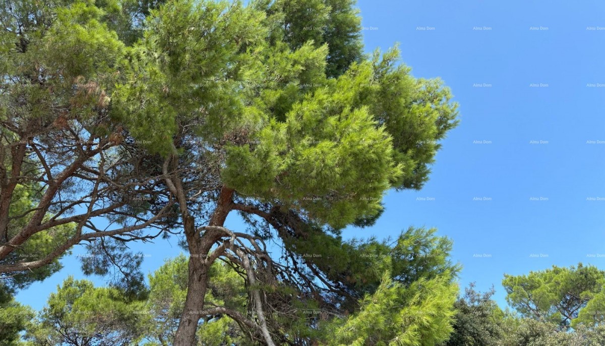 ROVINJ - prodaja stana u luksuznoj rezidenciji uz more / S16 9