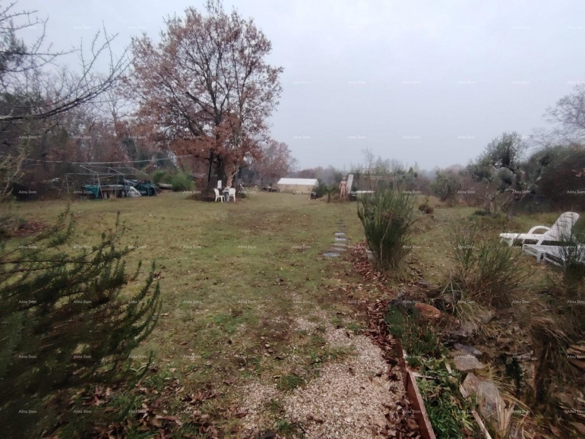 Prodaje se  kuća 95m2 na velikoj parceli od 2119 m2,  udaljena od mora 1800m, Umag 12