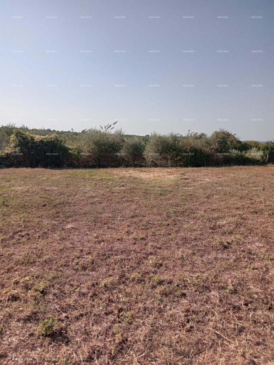 Эемля Marčana 3