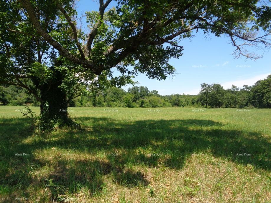 Građevinsko zemljište, Žminj. 60 EURA M2. 10