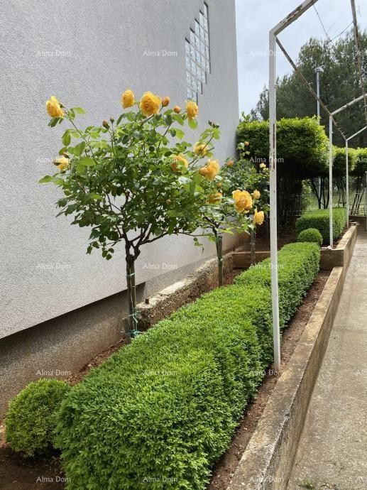 Pula – Casa con due unità abitative, a 50 m dal mare 6