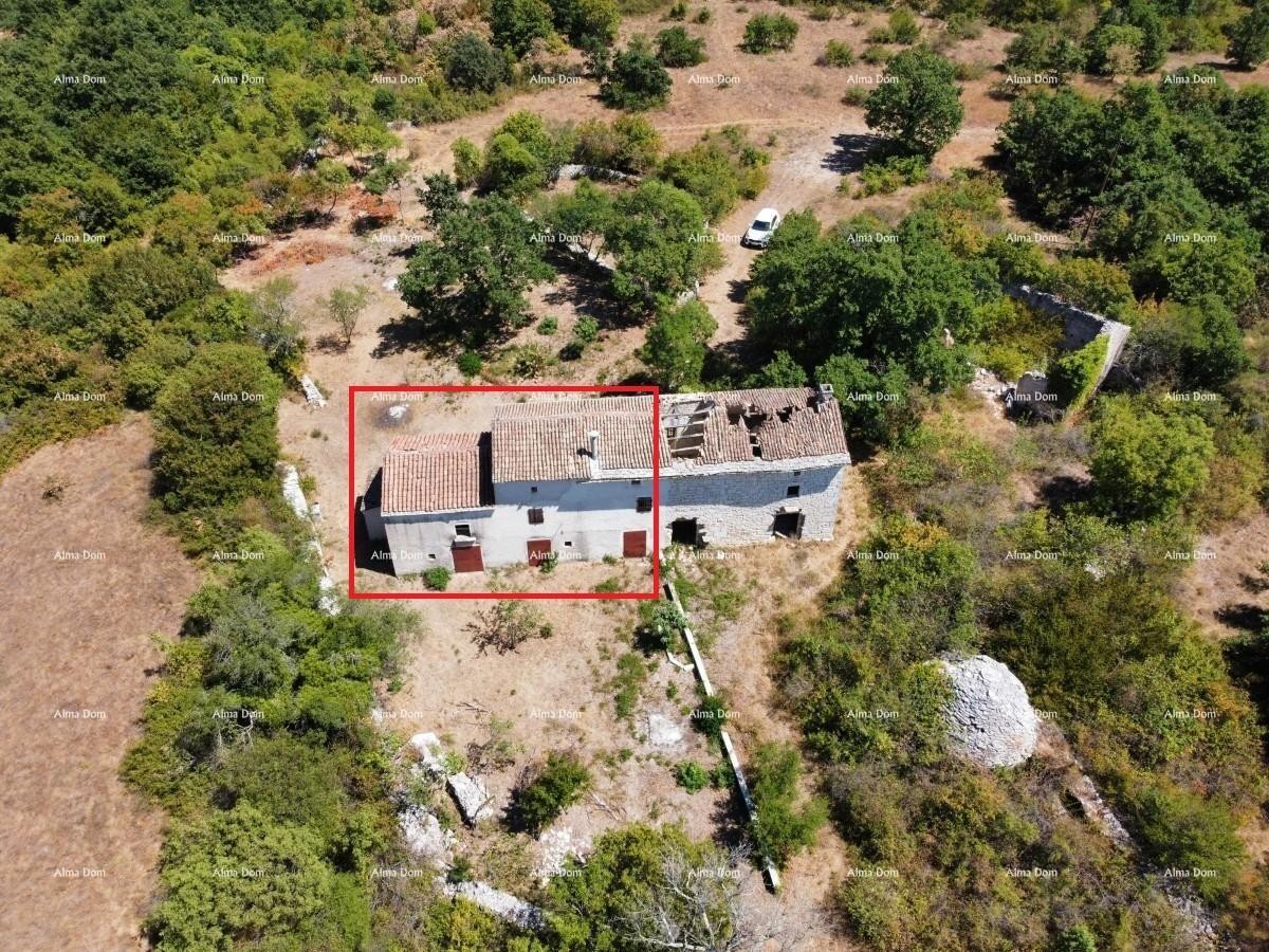 Stancija pri Vodnjanu! Veliko zemljišče 6390 m2!! 22