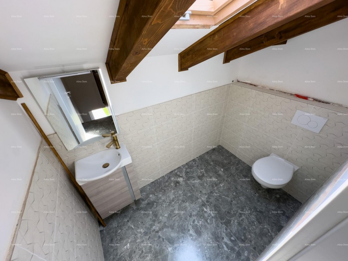 Prodajemo renoviranu Istarsku kamenu kuću u okolici Žminja! 19