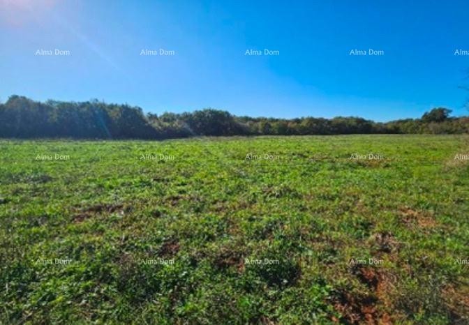 Эемля Marčana 4