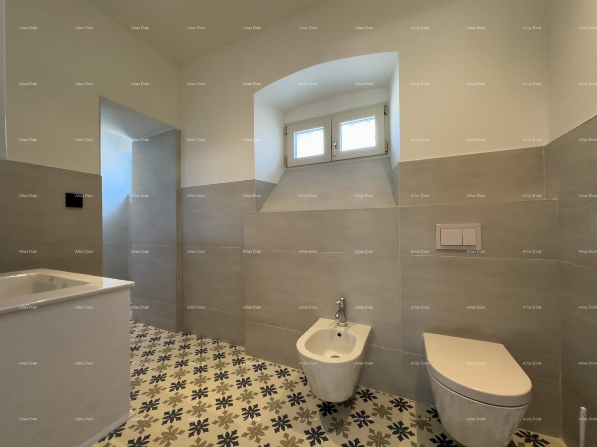 Редкость на рынке!   Istra  Barban 14