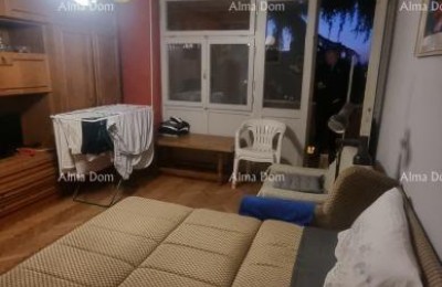 Stan u centru Umaga. Čisto vlasništvo.