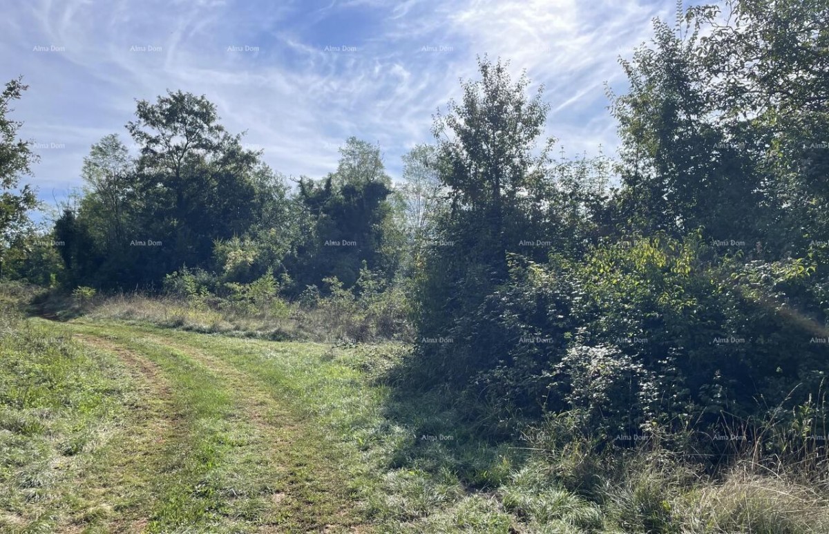 Продажа - каменный дом для ремонта с большим участком земли, Опрталь! 8