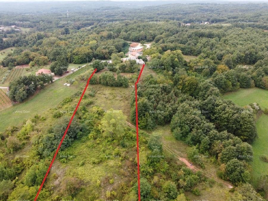 Полуразрушенный дом в небольшой деревне недалеко от Грачишче 18