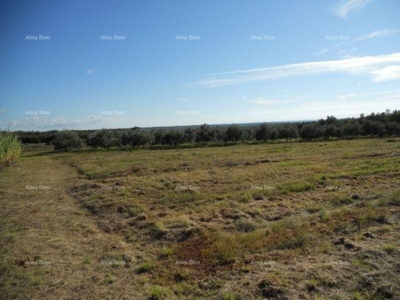 Prodajemo zemljišče 3 km od morja 1