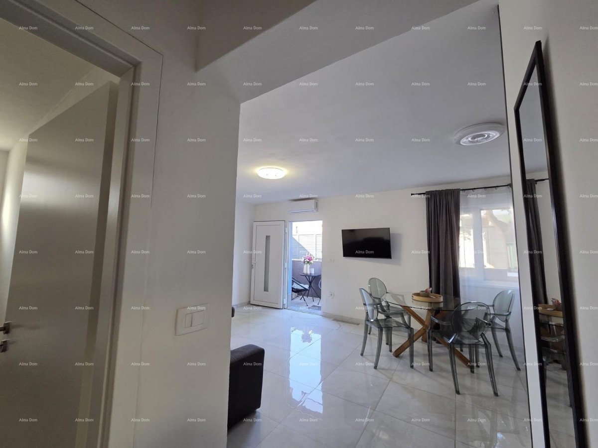 MEDULIN, Stan 44.5 m2 23