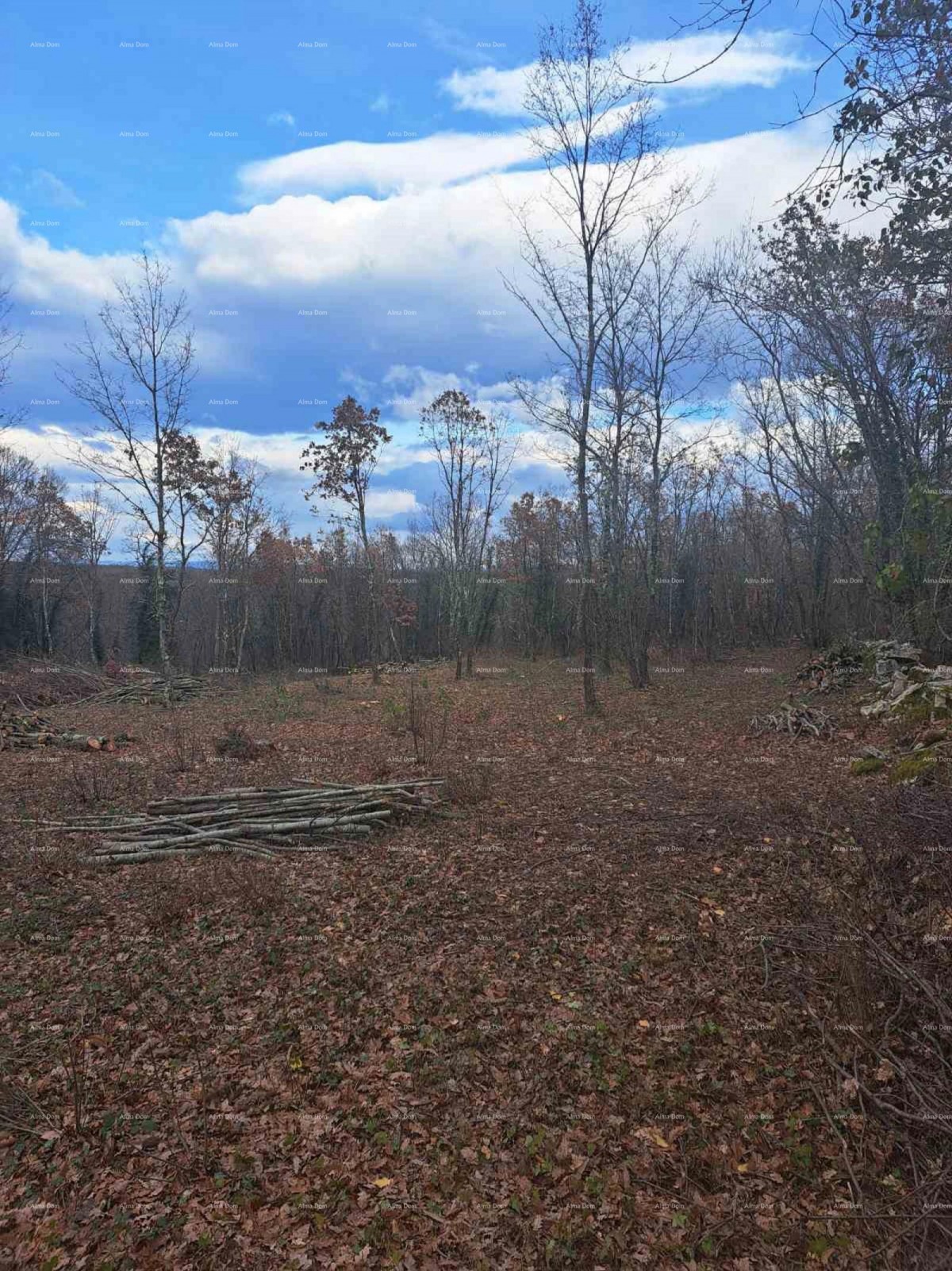 Строительный участок 1150 м², Кринга, Тиньян 1