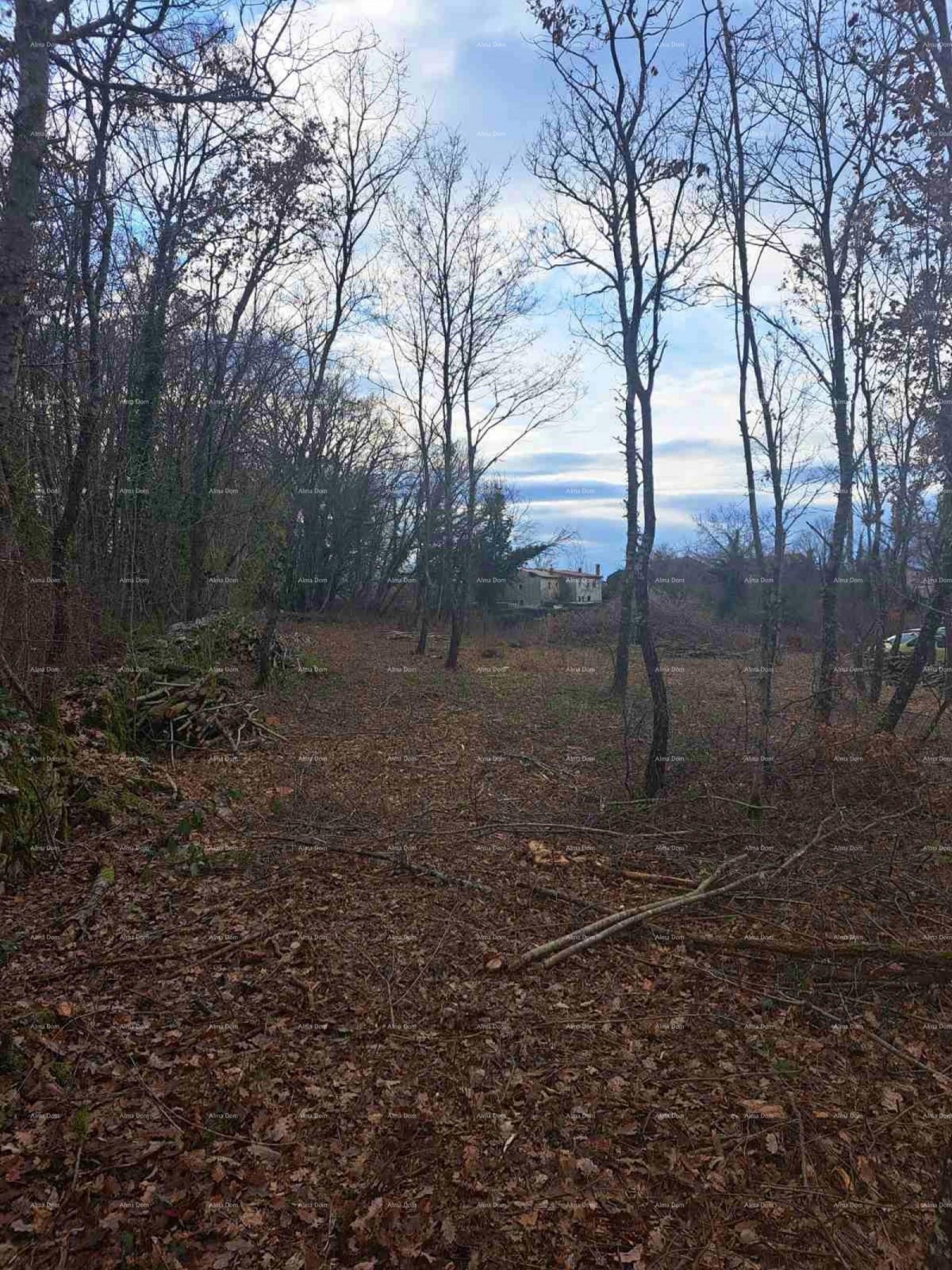 Строительный участок 1150 м², Кринга, Тиньян 3