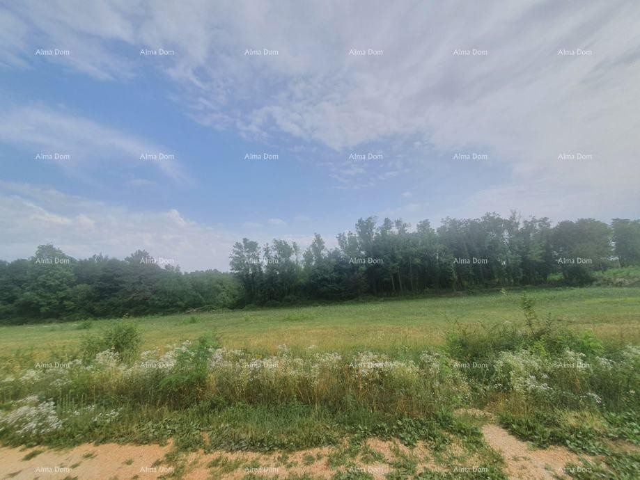 VIŠNJAN – ATTRACTIVE BUILDING LAND WITH A VIEW, 2,588 m² 1