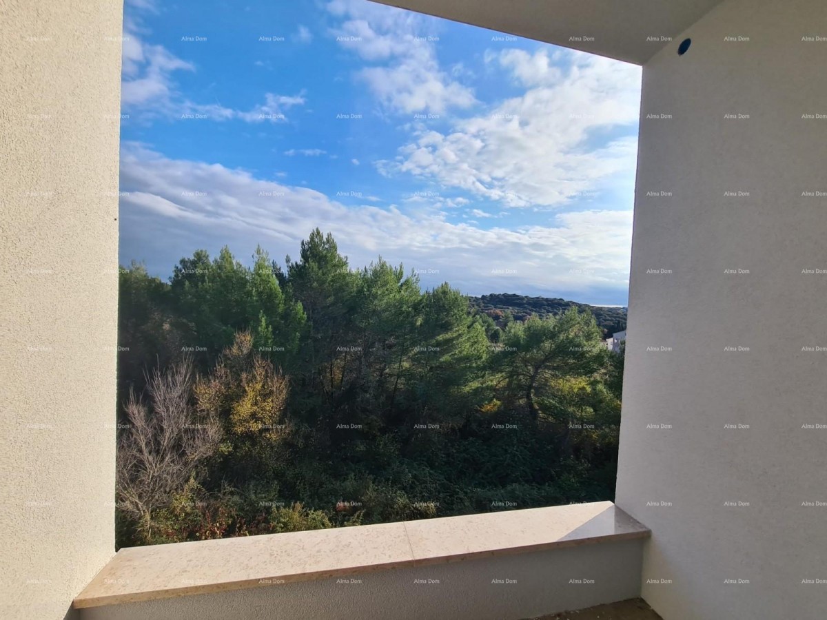 In italiano, il titolo si traduce in: 14