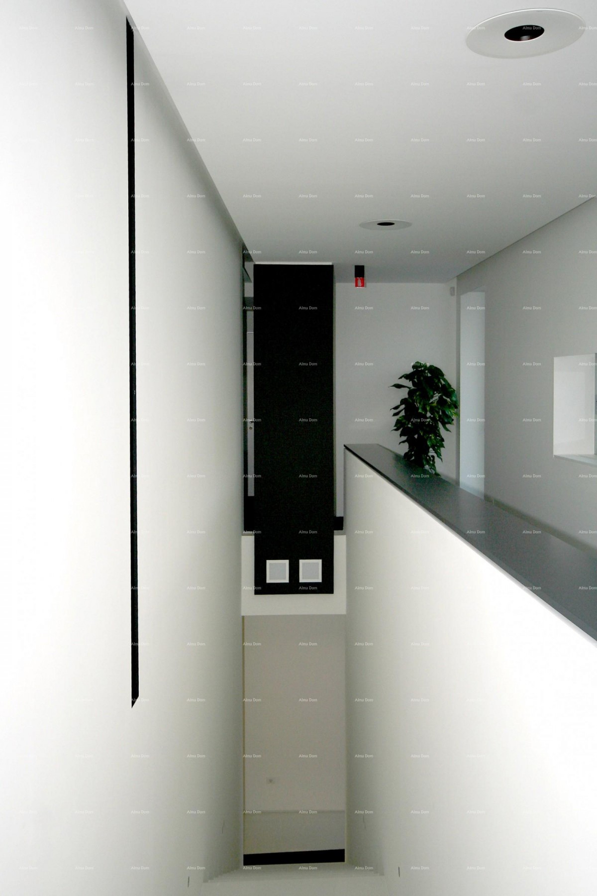 Пула/Веруда! Частный дом в отличном месте! 5