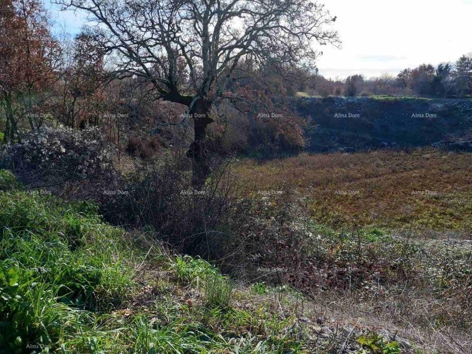 Prodaje se građevinsko zemljište 4375 m2, Kanfanar 1