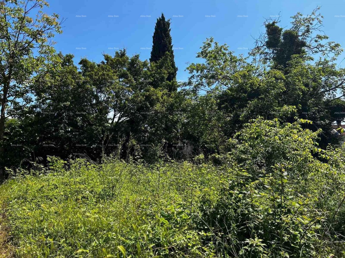 Prodaja kuće sa  stajom i zemljištem u blizini Barbana! 3