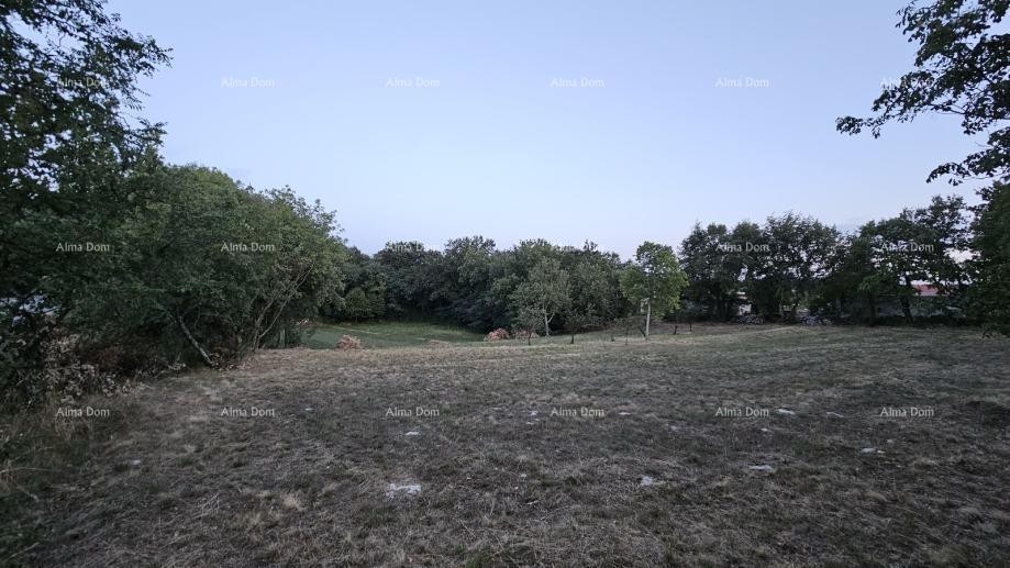 Građevinsko zemljišče v Tinjanu (Istra), 3.623 m² 8