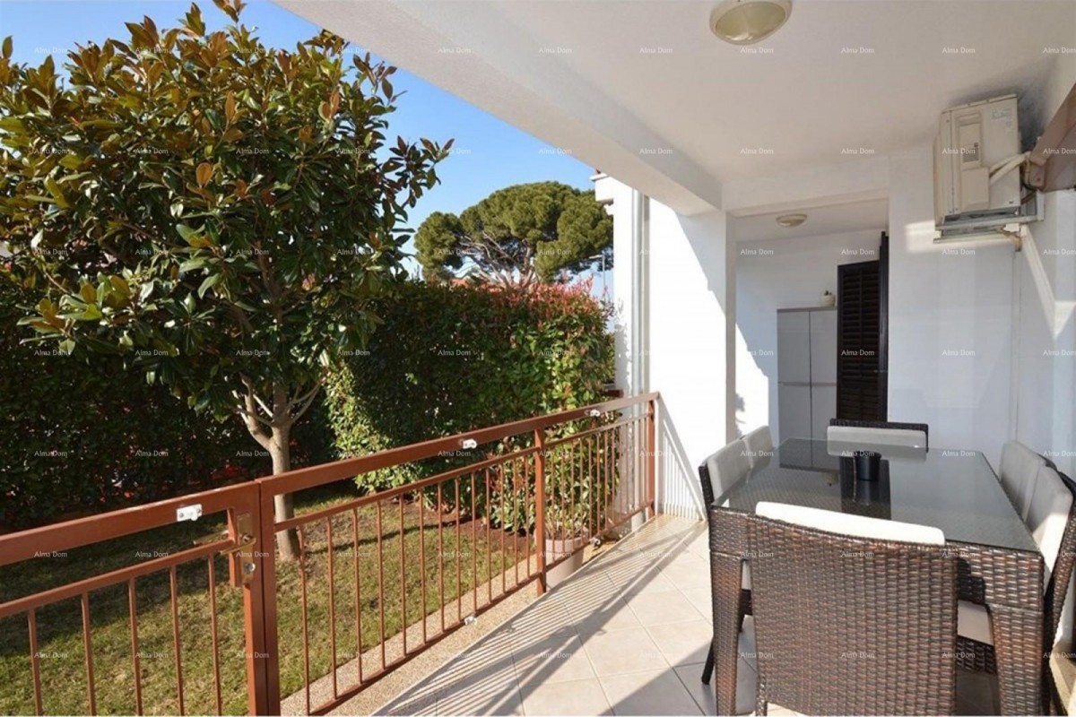 Spacious apartment with a yard, Tar 12