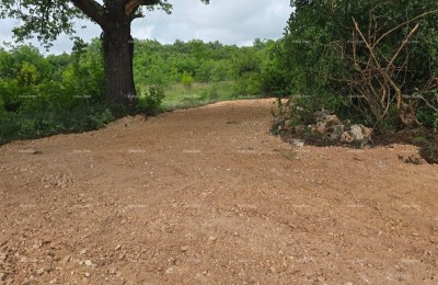 SALE – Building land with a building permit and house project with a pool, Marčana!