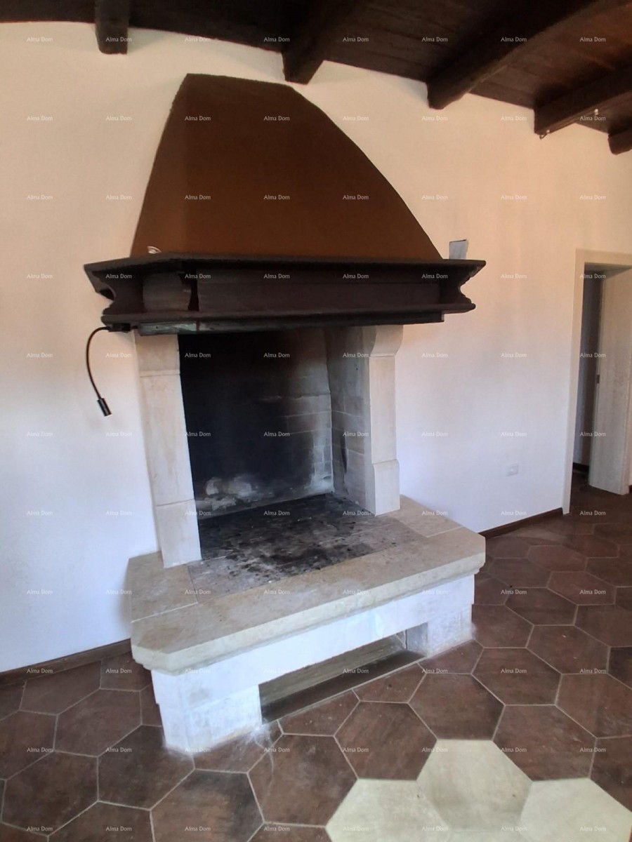 Продажа - роскошный дом на большом участке с бассейном, спа-салоном и тренажерным залом, Пореч! 11