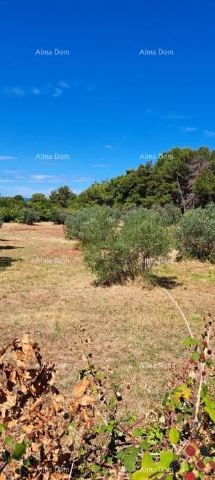 Prodaja kmetijskega zemljišča – Fažana - Peroj 2