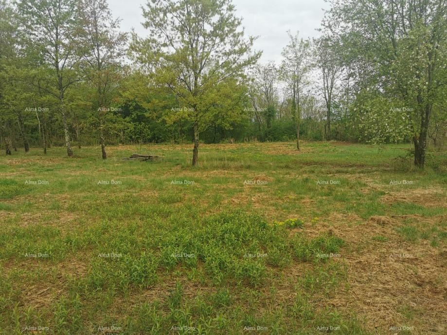 Prodaje se građevinsko zemljište, 1817m2, sa projektom kuće i građevinskom dozvolom, Sveta Nedelja 6