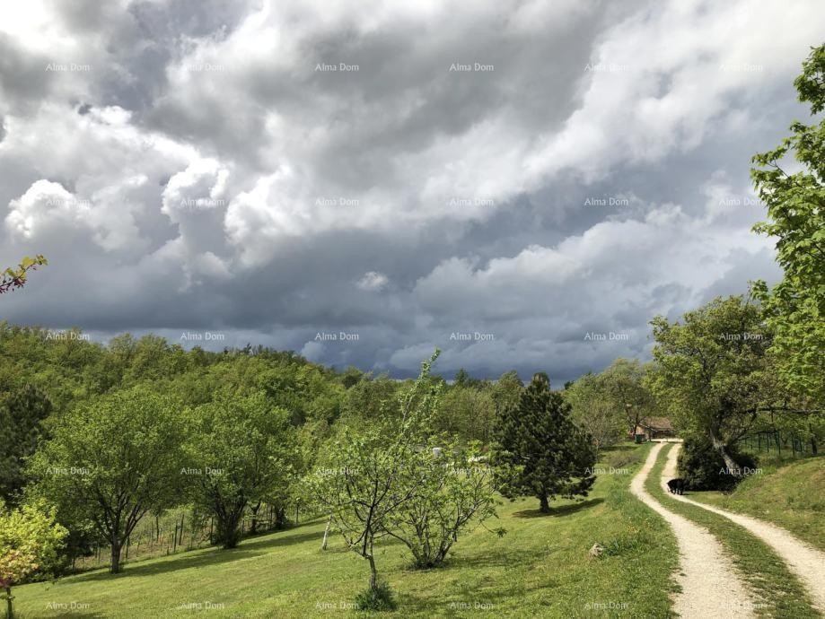 La bellissima proprietà in vendita è circondata da foreste e vigneti, con vista su Gračišće e Učka! 14