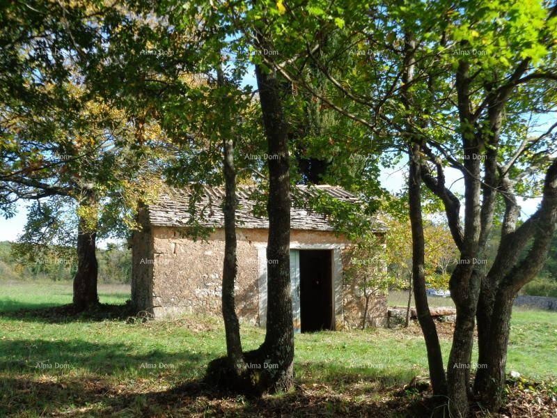 Građevinsko zemljište, Žminj. 60 EURA M2. 4