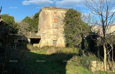 House ruins in Šišan