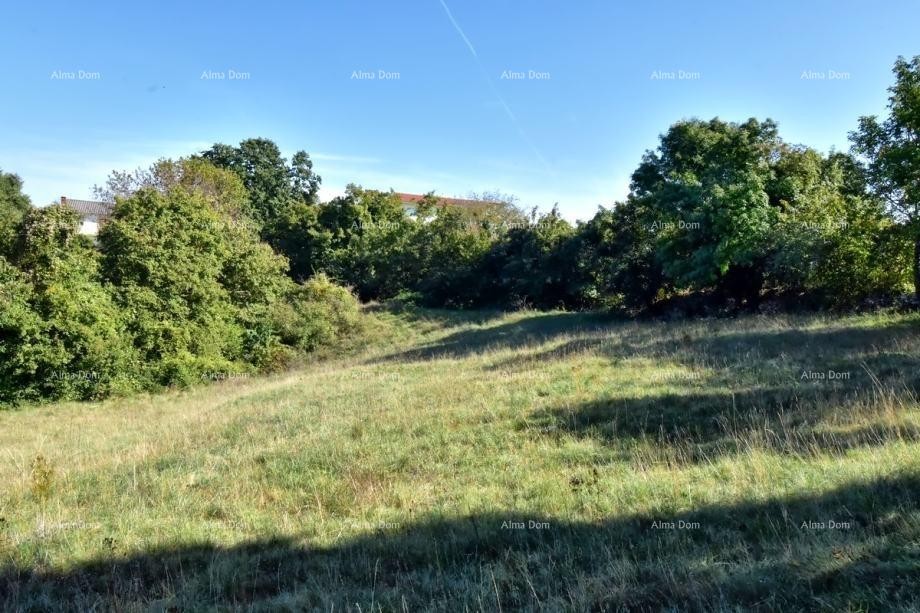 Plot Svetvinčenat 2