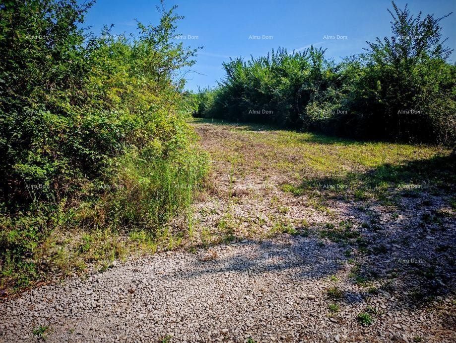 Zemljišče Kršan 3