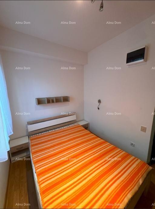 Na prodaju: Apartman u Novigradu s velikim vrtom. 5