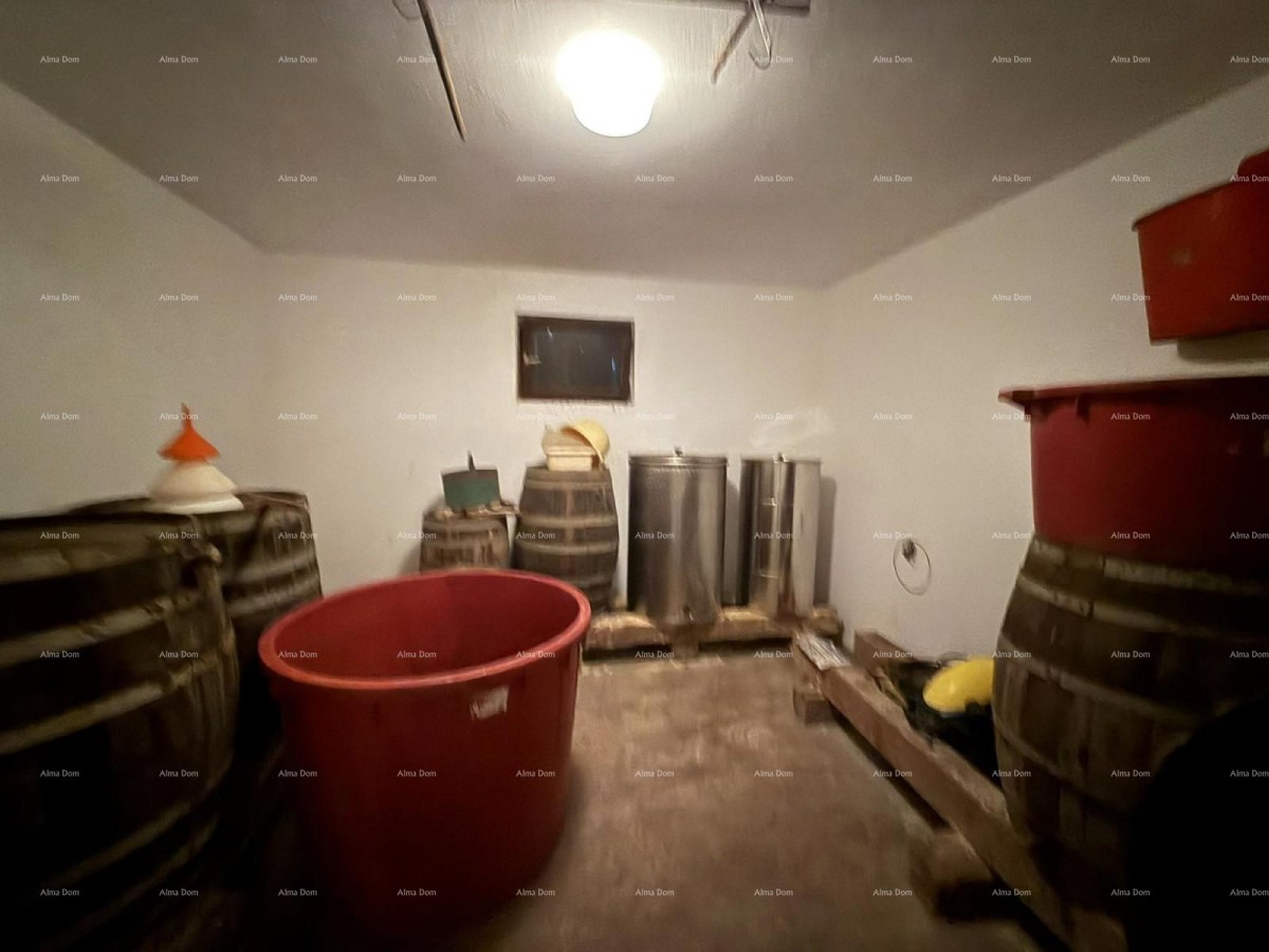 Šarmantna družinska hiša z veliko parcelo in dodatnim gradbenim zemljiščem v bližini Barbana 17