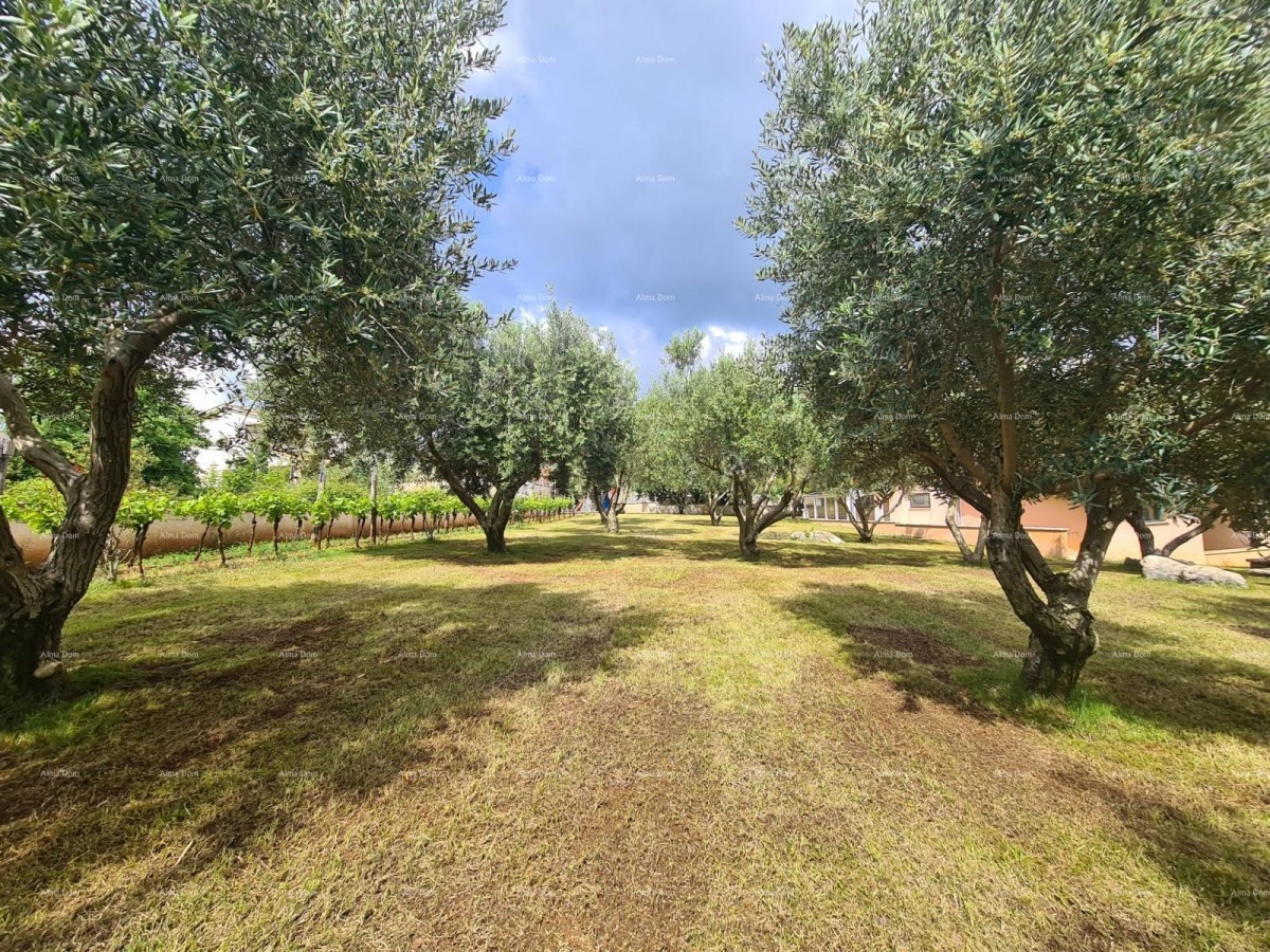 Kuća s bazenom i velikom okućnicom!  Blizina mjesta Marčane. 4