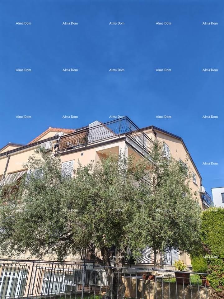 Namješten stan 65 m² s pogledom na more,  Poreč 1