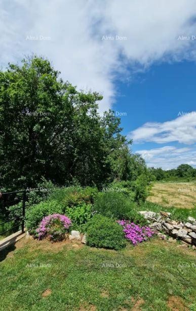 Отреставрированный истрийский каменный дом с бассейном 6